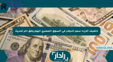 «تعرف الآن» سعر الدولار في السوق المصري اليوم وفق آخر تحديث